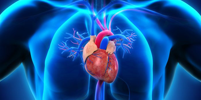 Coronary-heart-disease